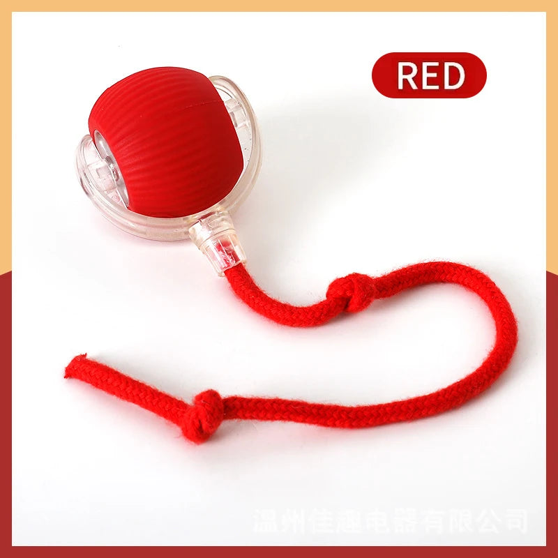 Lettuce Interactive Cat Toys Rolling Ball