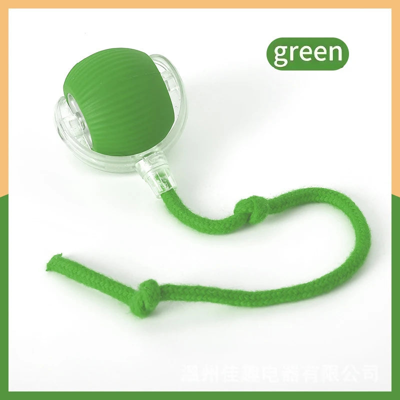 Lettuce Interactive Cat Toys Rolling Ball
